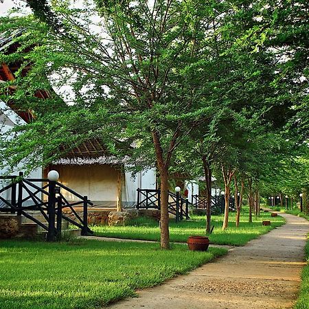Manyatta Camp Hotel Voi Екстериор снимка